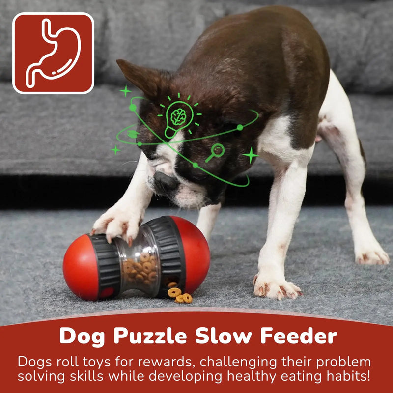 Dog Puzzle Track Toy