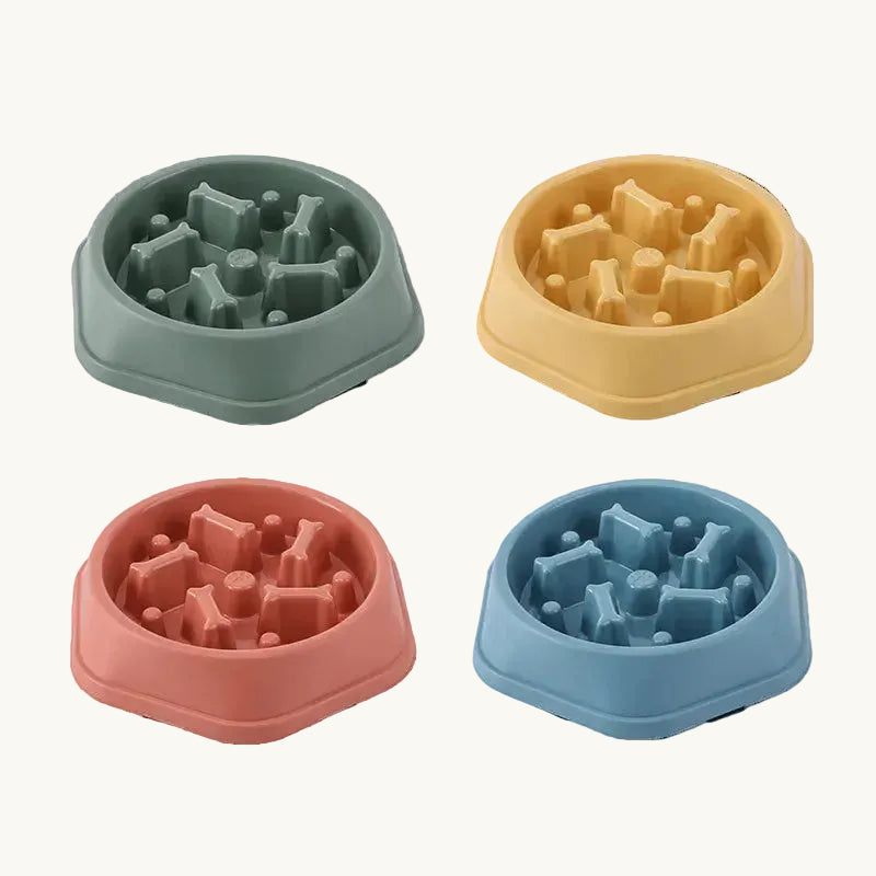 Slow Feeder Bowl - Anti-Choking Pet Bowl