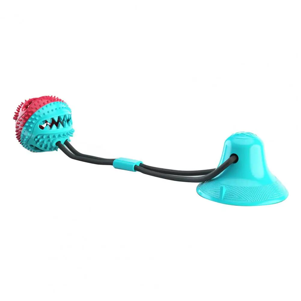Interactive Dog Chew Toy