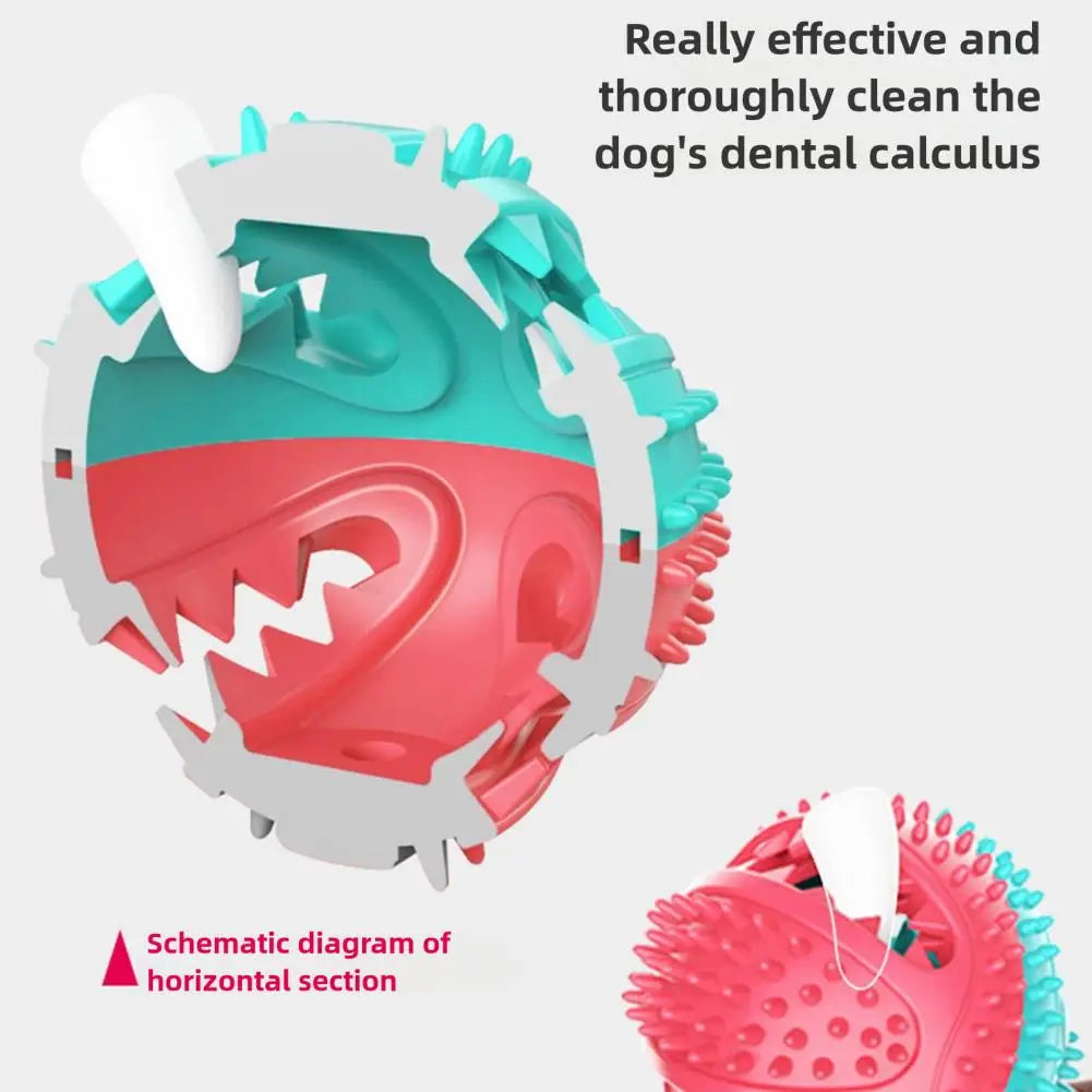 Interactive Dog Chew Toy