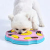Dog Puzzle Slow Feeder Bowl