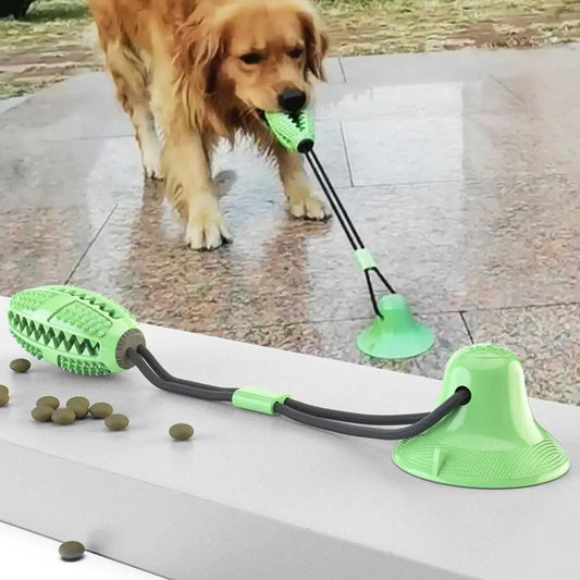 Interactive Dog Chew Toy