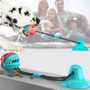 Interactive Dog Chew Toy